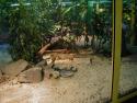 Terrazoo 003.JPG